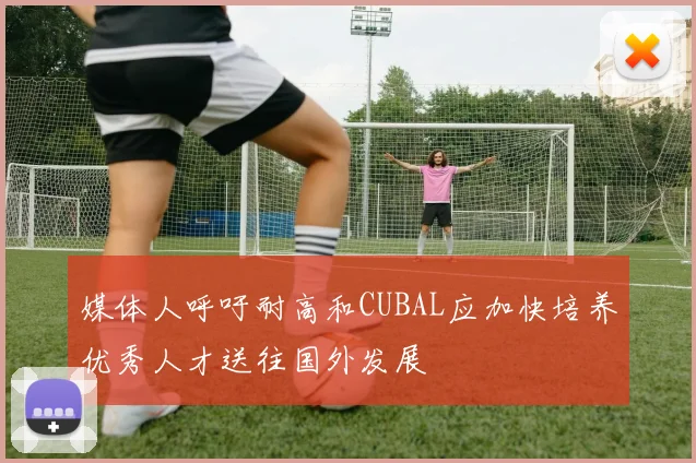 媒体人呼吁耐高和CUBAL应加快培养优秀人才送往国外发展