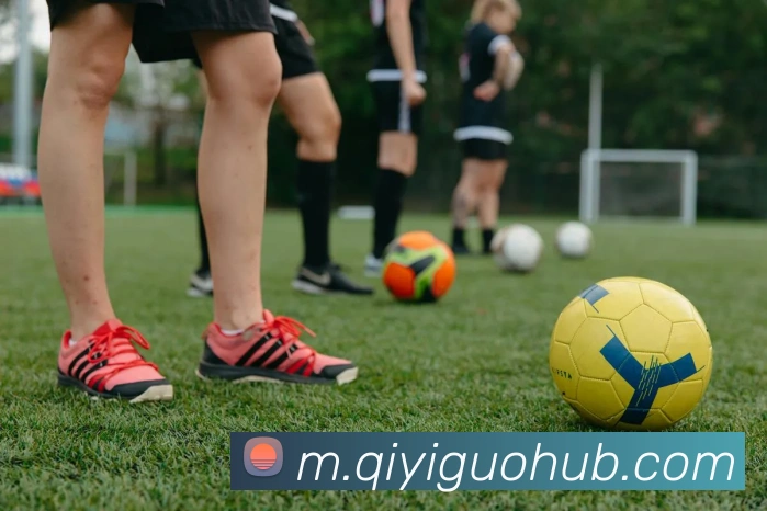 奇异果体育平台生态图