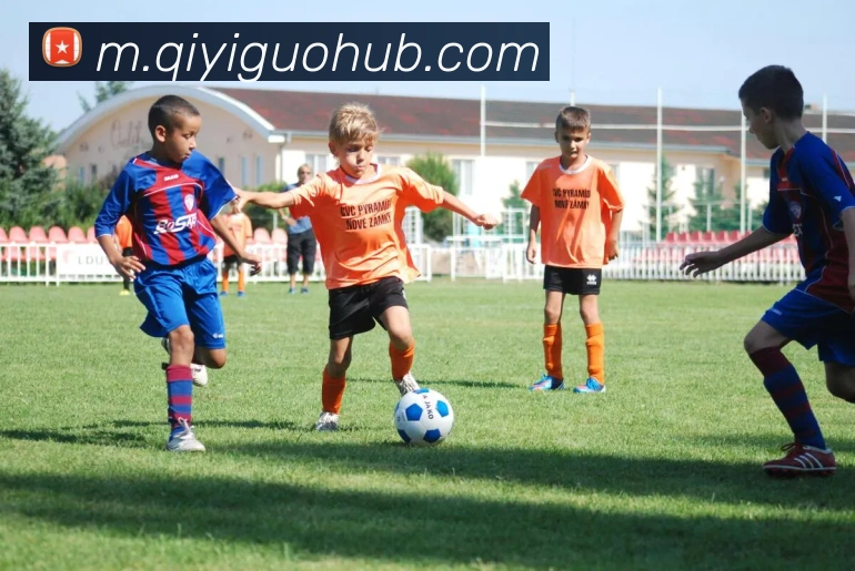 奇异果体育全站App